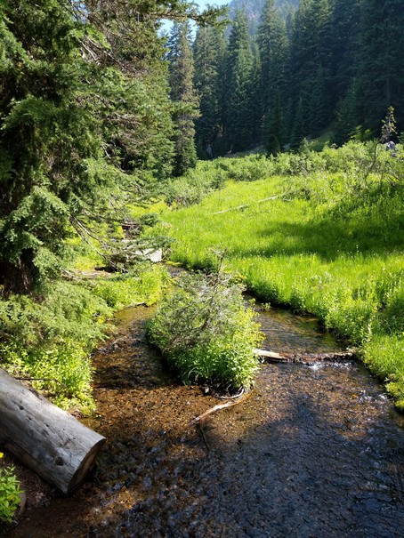 a trail near the base of Crater Lake OR